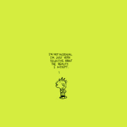 nevver:  Calvin and Hobbes 