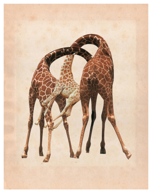 herosolitaire:Niels Kalk (www.nielskalk.com)