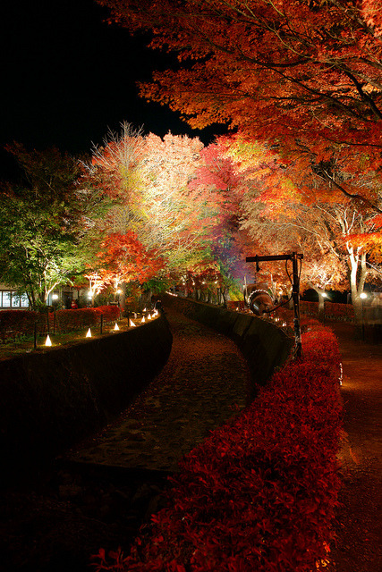 Lake Kawaguchi Autumn Festival, Japan (by peaceful-jp-scenery).