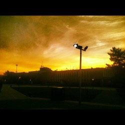 Orange morning #morning #mma #massmaritime #massmaritimeacademy #sunrise #instagood