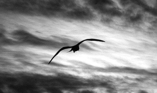 hell was the journey but it brought me heaven