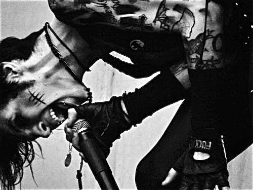 We are The Wild Ones