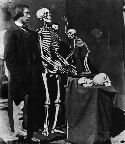 biomedicalephemera:  Reginald Southey with human and monkey skeleton Albumen photograph by Charles Lutwidge Dodgson (nom de plume Lewis Caroll, author of Alice in Wonderland), 1857. Reginald Southey was an English physician who invented a specialized
