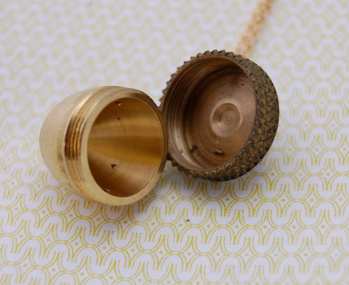 Sex wickedclothes:  Acorn Keepsake Locket Unscrew pictures