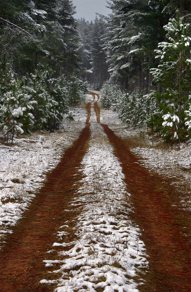 stumblingtoglory:  And miles to go before I sleep,and miles to go before I sleep.