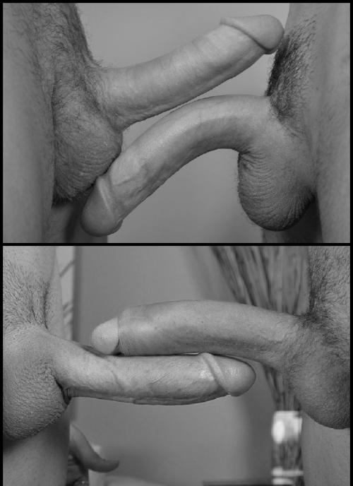 cuckoldneigbours.tumblr.com/post/34184526311/