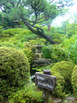 cactuslands:  Yoshikien Garden, Nara 