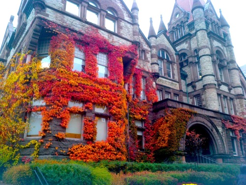 Porn Pics bam-bie:  vines growing over houses is the