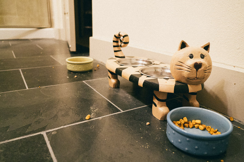 An exploration of home: cat dishes, 2