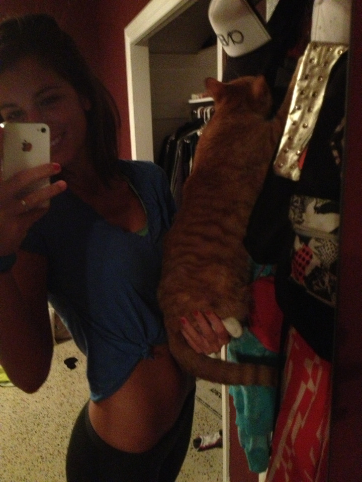 threadthroughneedle:  Cat climbing