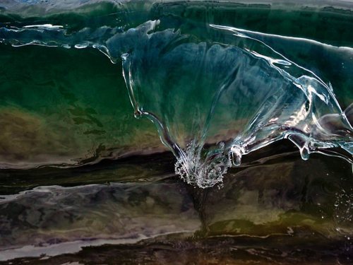 superawesomeshop: Australian photographer Deb Morris is a master of micro wave photography. While he