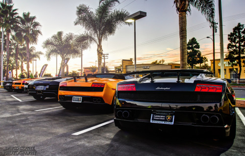 Porn automotivated:  Lamborghini Lineup (by David photos