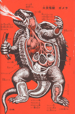 magictransistor:  Shoji Otomo &amp; Shogo Endo. Flaming Monster Gamera. An Anatomical Guide to Monsters. Asahi Sonorama Publishing. 1967.