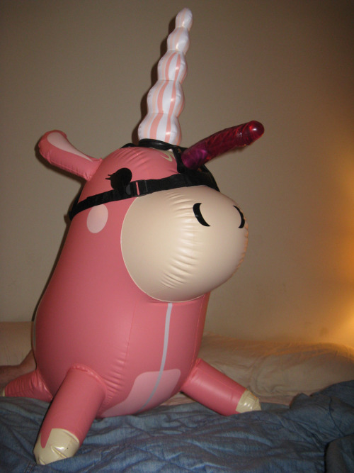 woggywoowoo:  Just another day with Balloonicorn 