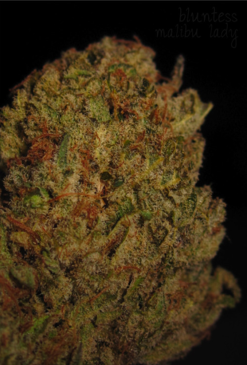bluntess:  Malibu Lady 