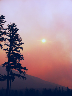 phoscollective:  Wildfire (Banff, AB)