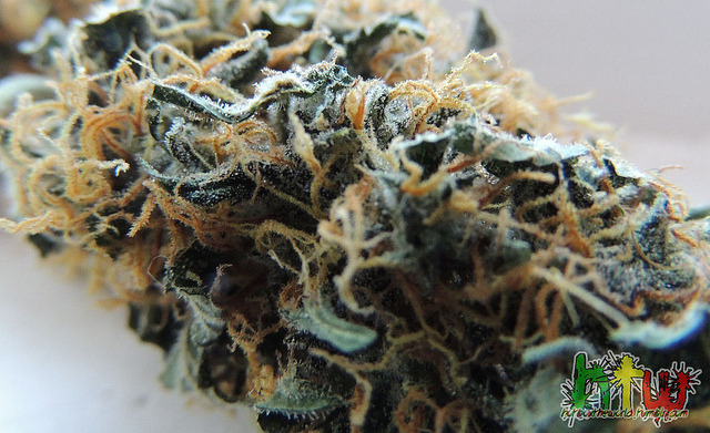 puff puff pass