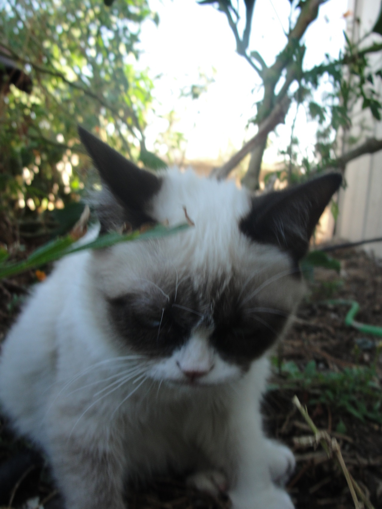 The Daily Grump | October 25, 2012