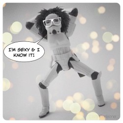 starwarsgonewild:  Old pic with a new edit for #throwbackthursday. #tbt #thetoysarealive#starwars #stormtrooper #lmfao #sexyandiknowit #redfoo by darthcorleone  Ꭰarth Ꮳorleone (via Statigram – Instagram webviewer)