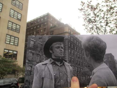 Midnight Cowboy (1969) Image: 202 Posted by: @Moloknee  A limited number (10) of signed and numbered