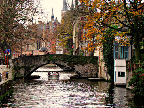 Shades of autumn, Bruges, Belgium (by Dorota.S).