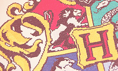mydraco:  We Love Harry Potter - Long Live the Houses 