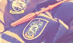 mydraco:  We Love Harry Potter - Long Live the Houses 