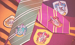 mydraco:  We Love Harry Potter - Long Live the Houses 