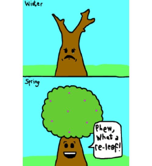 the-absolute-funniest-posts:  Follow this blog, you’ll love it on your dashboard!