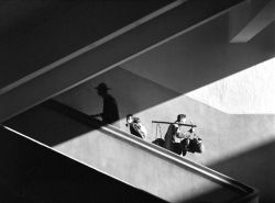 adanvc:  Sun Rays, 1959. by Fan Ho