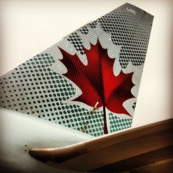 thenitmightbeforthebest:  AIR CANADA FLIGHT