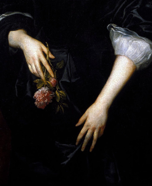 what-a-lovely-shroud:Dorothy, Lady Dacre by Sir Anthony Van Dyck (detail)