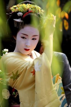 geisha-licious:  Kyouka! 