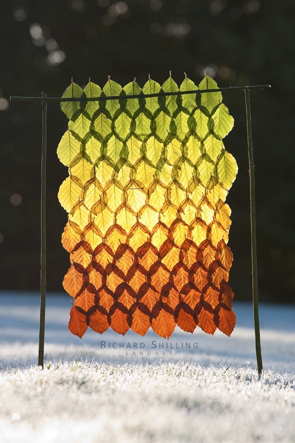 superawesomeshop:  Autumn Leaves Arranged Like Rainbows 