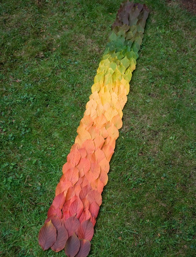 superawesomeshop:  Autumn Leaves Arranged Like Rainbows 