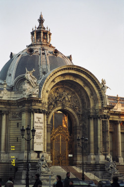 ancient-serpent:  Petit Palais, Paris, France 