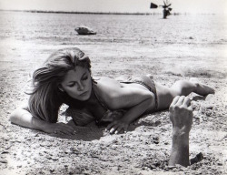 Susanne Benton Dans Cover Me Babe, 1970.