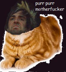 gaydayparade:  slendyrunawaywithme:  i got bored and  jack bara-cat happened  this