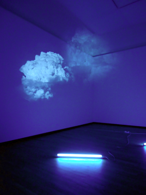likeafieldmouse:  Diana Thater - White is the Color (2002)