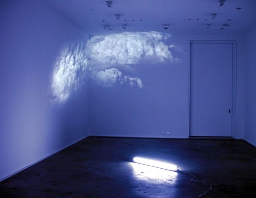 likeafieldmouse:  Diana Thater - White is the Color (2002)