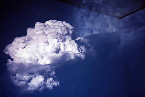 likeafieldmouse:  Diana Thater - White is the Color (2002)