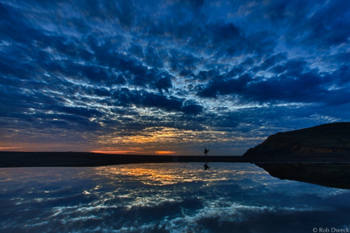 llbwwb:  After the Last Wave (by Rob Dweck)