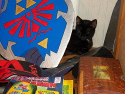 getoutoftherecat:  get out of there cat. you can’t even lift the hylian shield. 