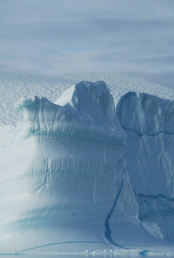 necessitate:  Iceberg Graveyard” near Røde Island, Føhnfjord, Scoresby Sund,