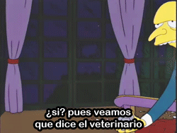  Mas Simpsons aqui 