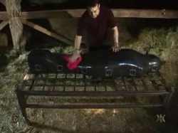 godsversusfags:  Apologies for the poor image quality, but this is a really interesting take on the traditional sleepsack storage: a hard-shelled fiberglass body enclosure. With the right ventilation and appropriate water/feeding/waste tubing it could