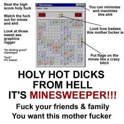 the-modern-prodigy:  Minesweeper fuckin rocked