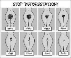 - STOP DEFORESTATION! - I love 80’s