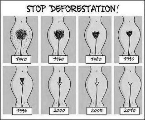 XXX - STOP DEFORESTATION! - I love 80’s photo