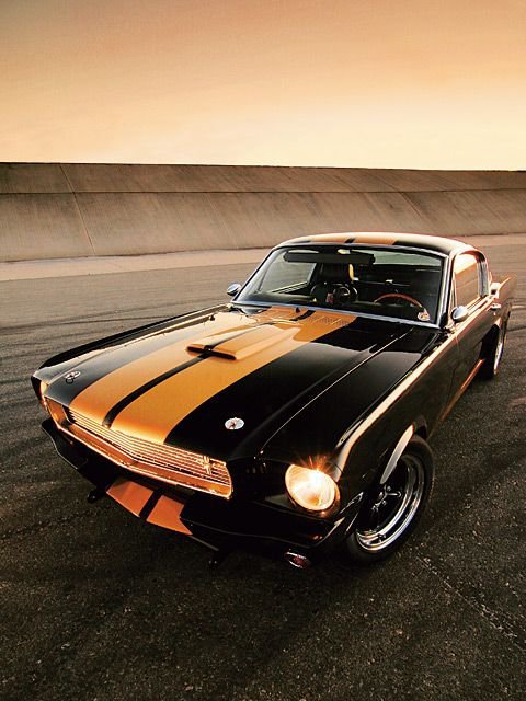 ford-mustang-generation:  1966 Ford GT 350 Hertz Mustang  Love at first sight. Grrr